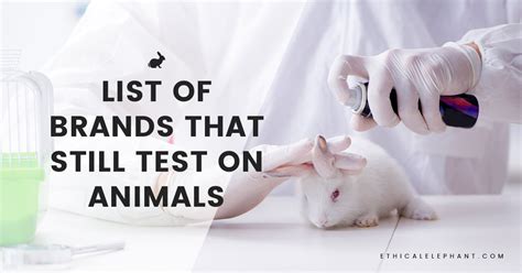 is clinique still testing on animals.